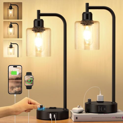 2-pack dimmable industrial style table lamp